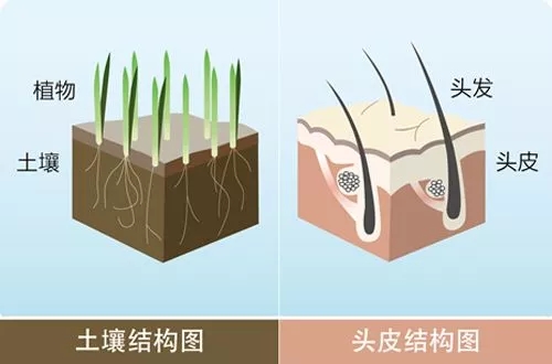 植物养发馆加盟